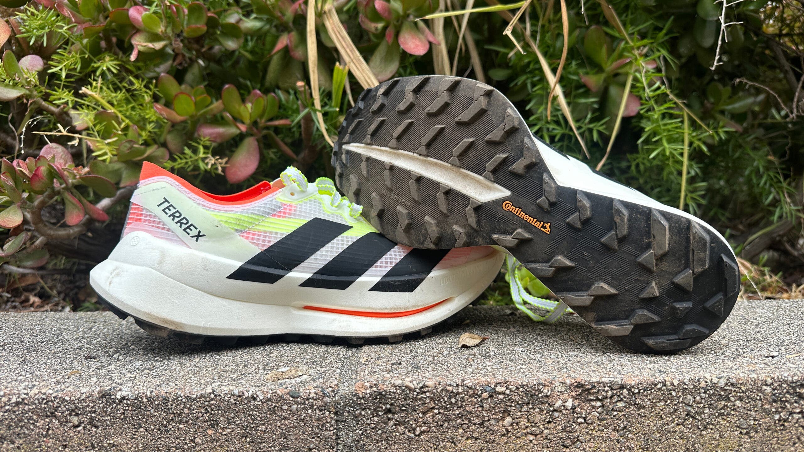 8 Top Trail Running Super Shoes of 2026, Reviewed - Trail Runner Magazine