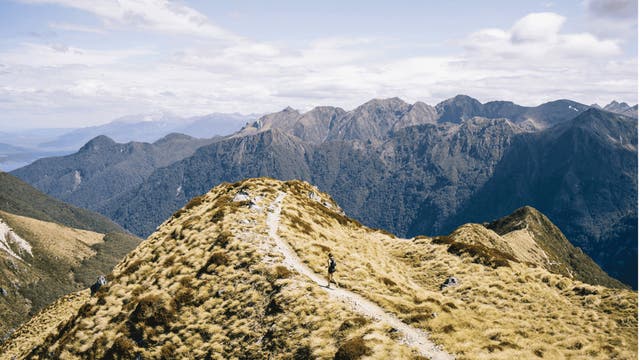 Trail Runner is Where Stories Run Wild