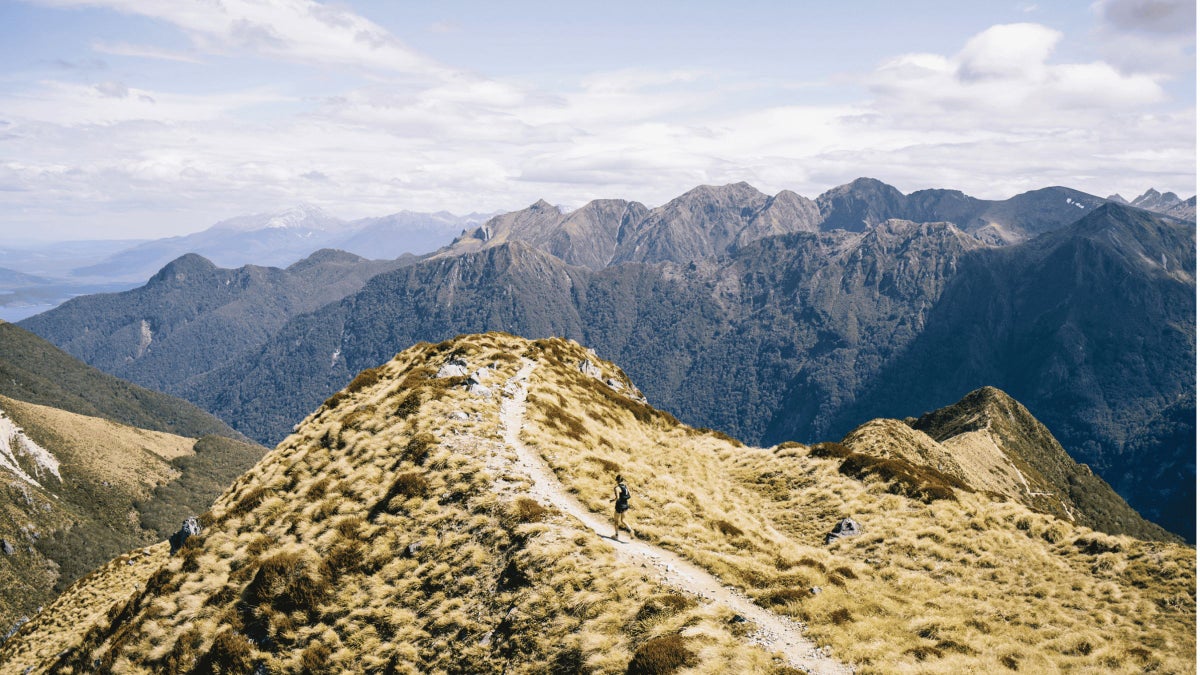Trail Runner is Entering a New Chapter