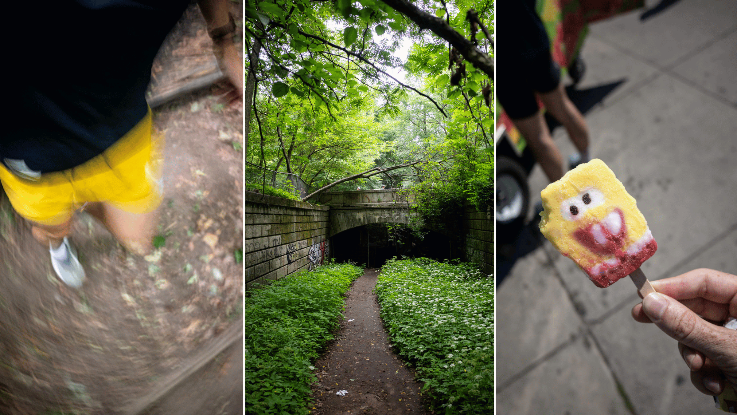 Yes, You Can Trail Run in New York City. Here's Proof