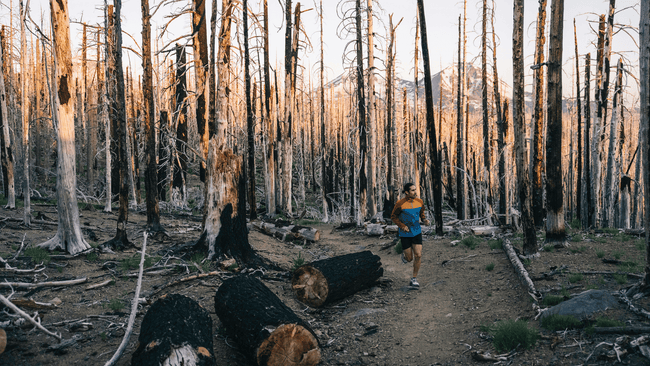 trail running through wildfires and burn scars
