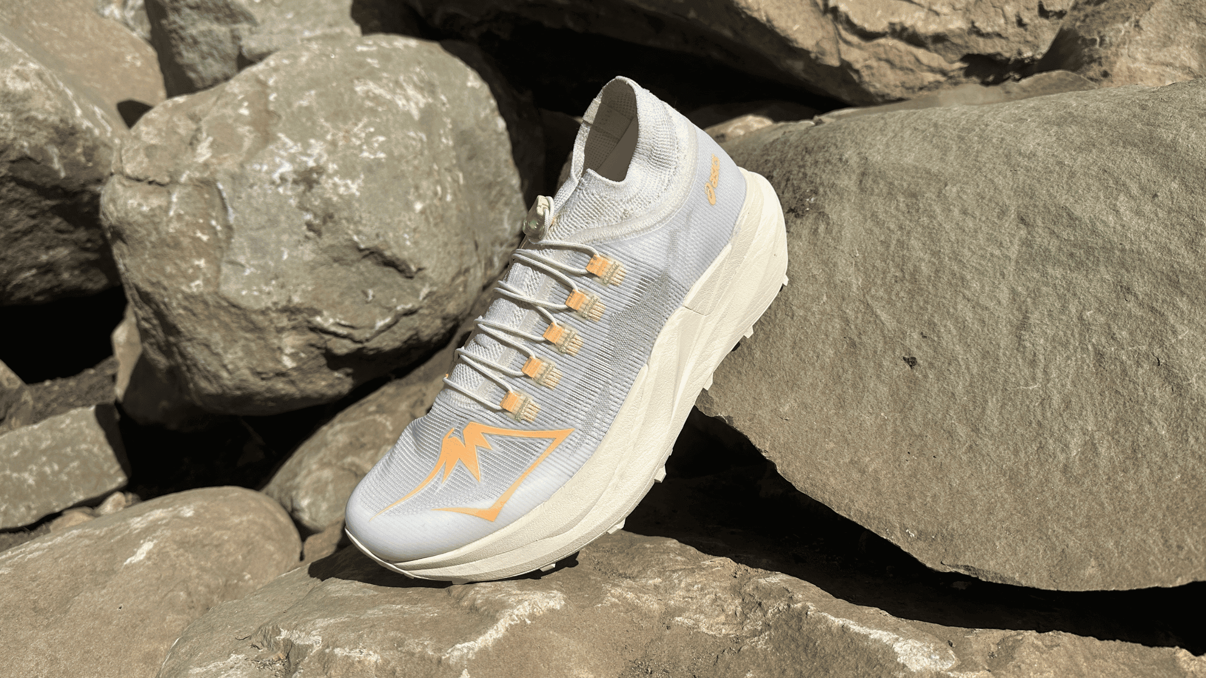Asics Metafuji Trail 2 