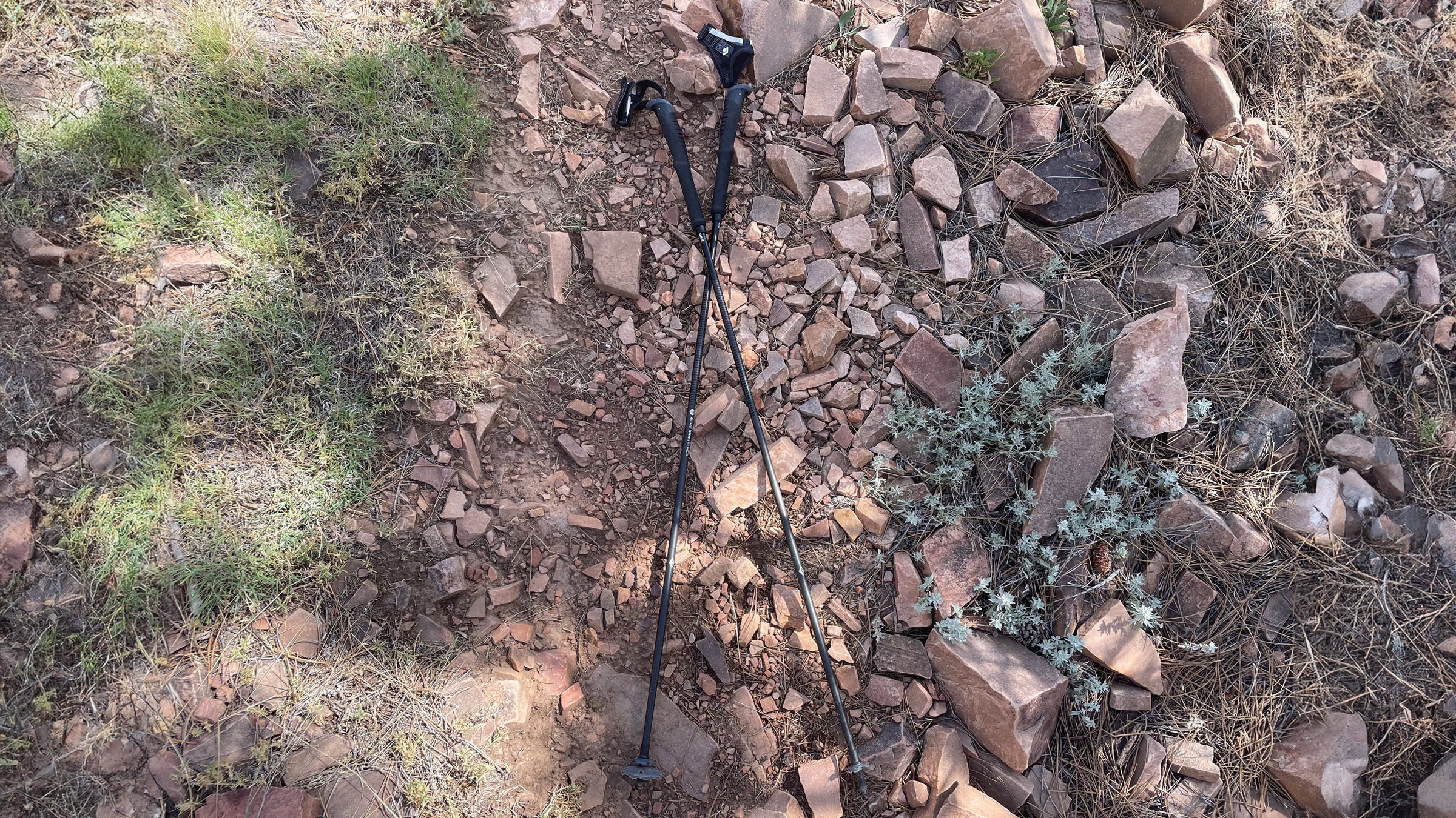 Black Diamond Carbon Z FKT