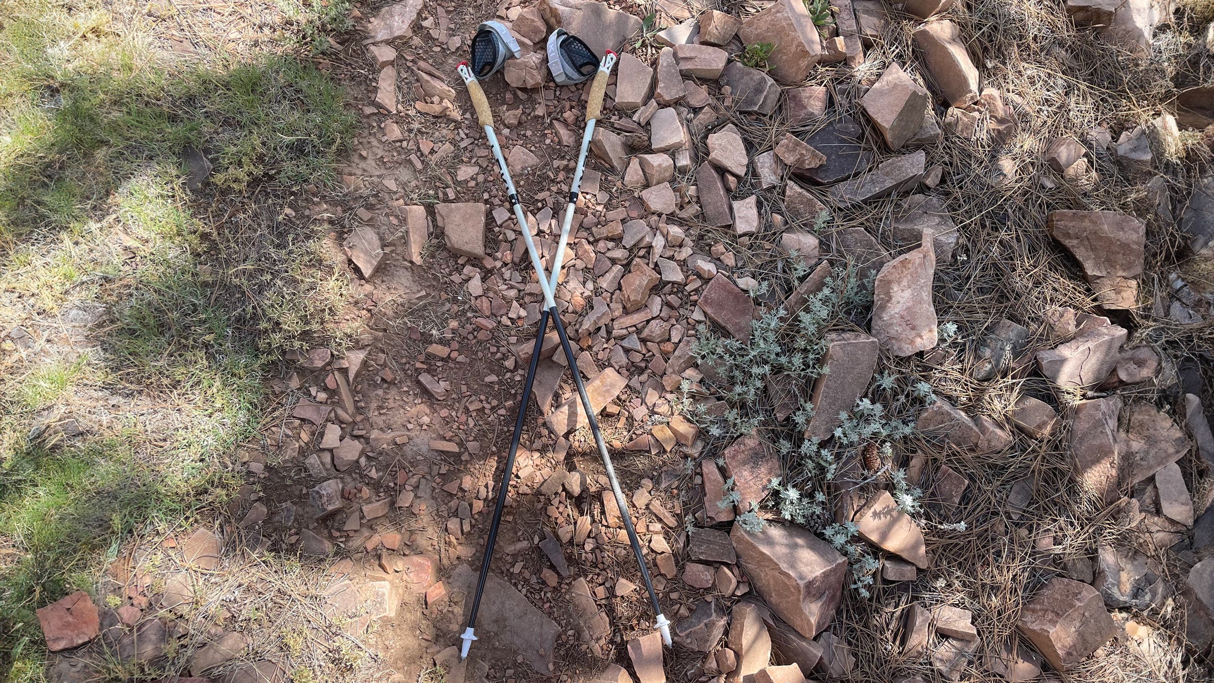 Leki UltraTrail FX.One