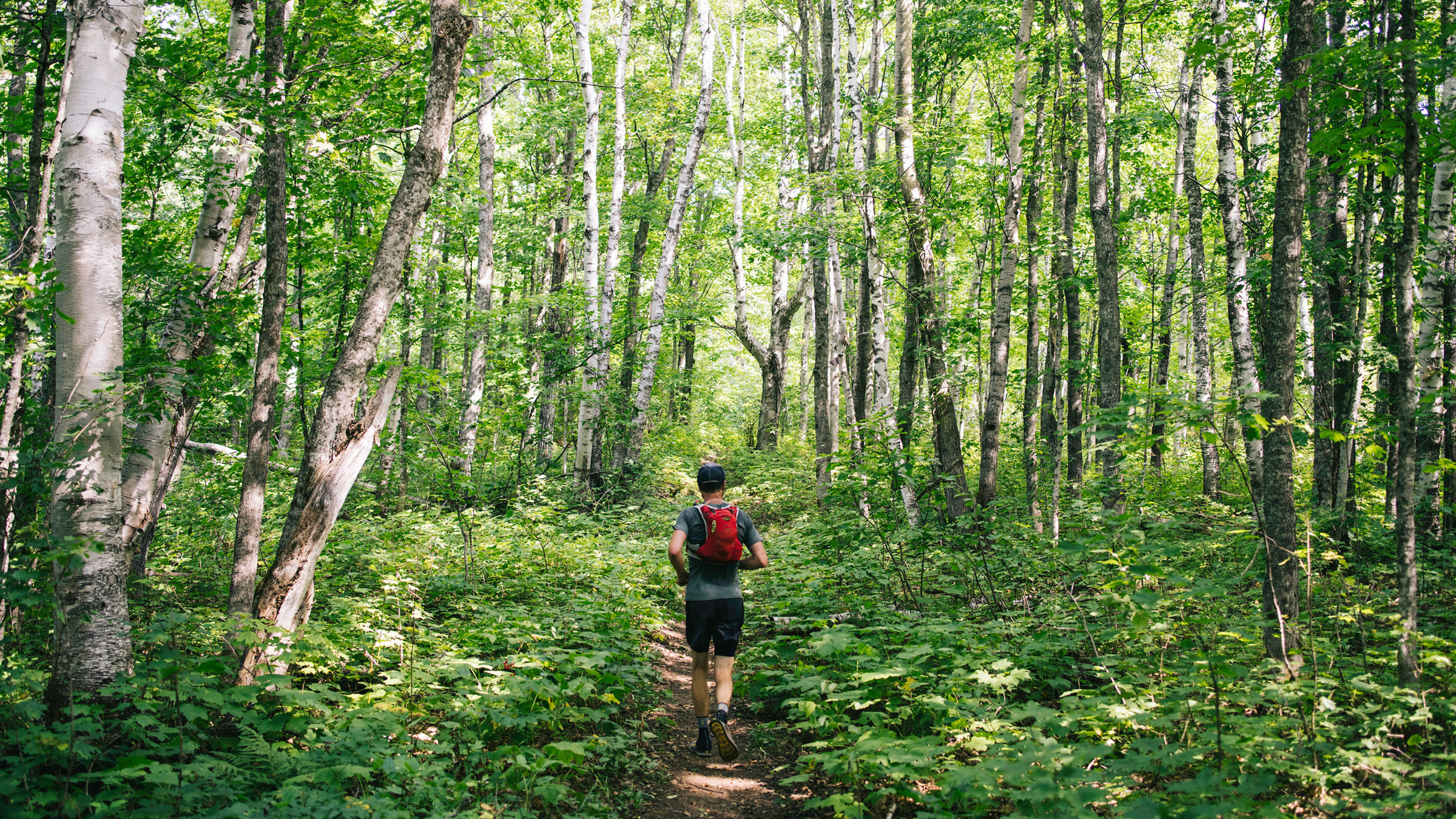 I Ran Across the Least-Visited National Park, Where Wolves and Moose Outnumber People