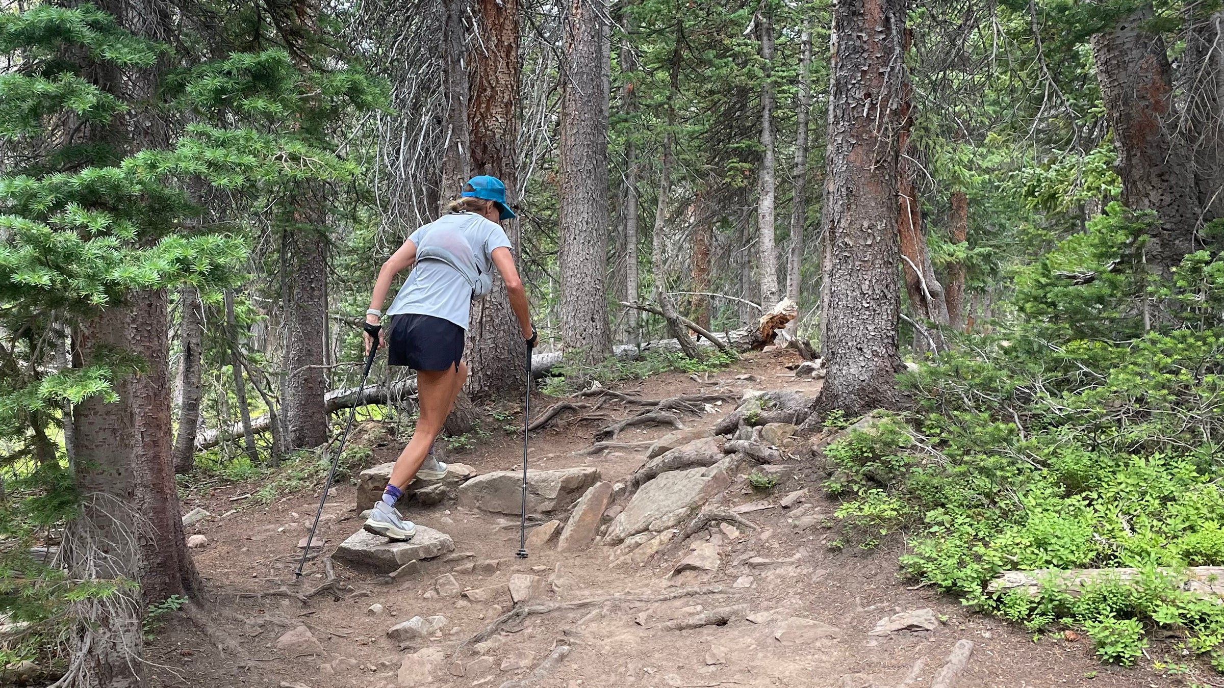 Which Pole Is Best for Trail Running: Black Diamond Carbon Z FKT or Leki UltraTrail FX.One?