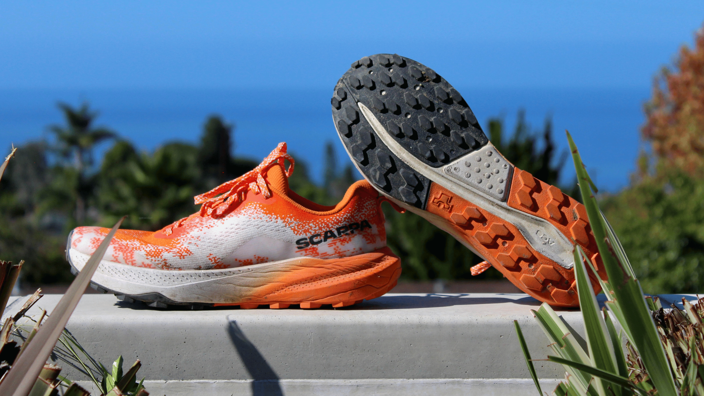 Finally, a Trail Shoe That’s Connected and Cushioned. We Review the Scarpa Golden Gate LT.